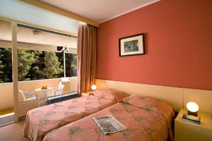 Standard twin with garden view, balcony, private facilities (bath), and half board